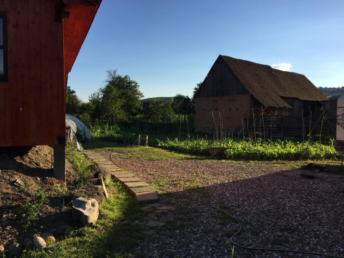 Pensiune Agroturistica Hanna Ocland Dış mekan fotoğraf