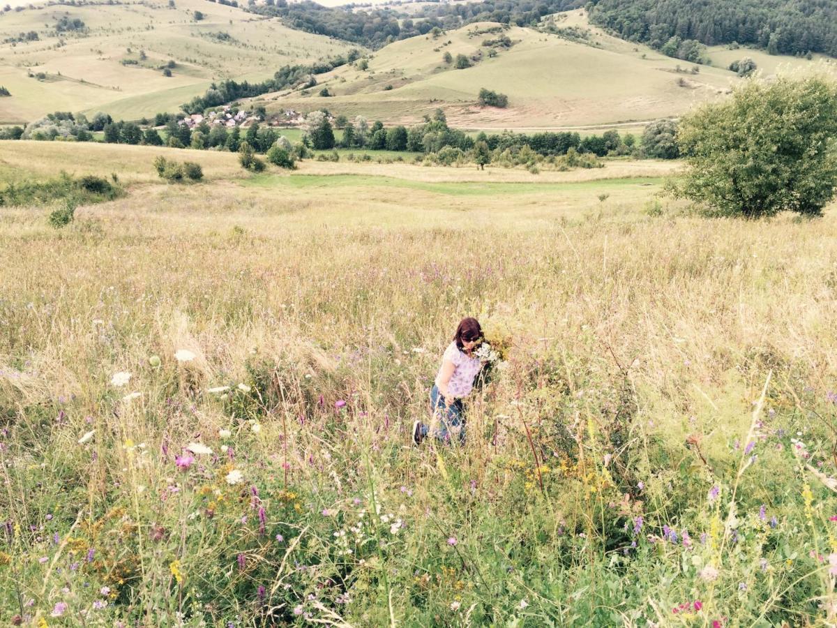 Pensiune Agroturistica Hanna Ocland Dış mekan fotoğraf